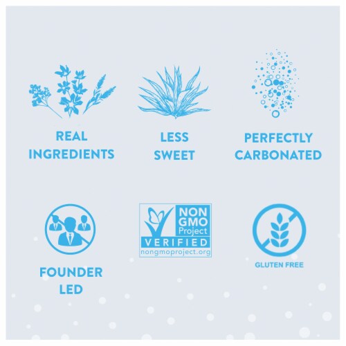 Q Mixers Ginger Ale, Premium Cocktail Mixer Made with Real Ingredients, 6.7 Fl Oz (4 Bottles) Perspective: back