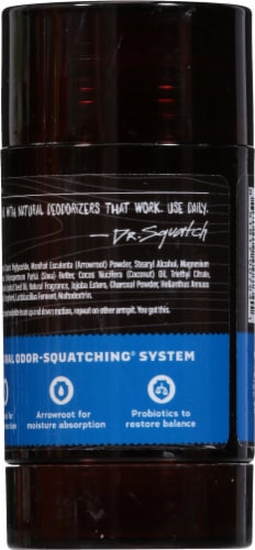 Dr. Squatch® Men's Natural Deodorant Stick Fresh Falls Perspective: back