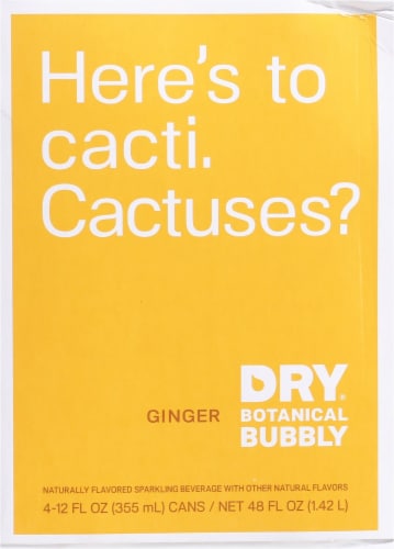 DRY® Botanical Bubbly Ginger Soda Perspective: back