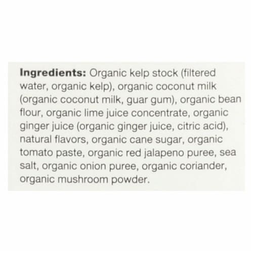Ocean's Halo® Organic Thai Coconut Broth Perspective: back