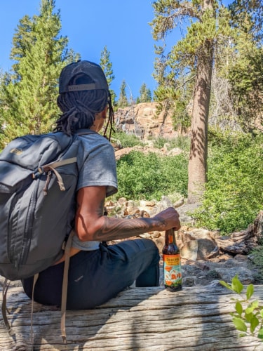Figueroa Mtn Hoppy Poppy IPA 6/12B Perspective: back