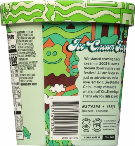 Coolhaus™ Dirty Mint Chip Ice Cream Pint Perspective: back