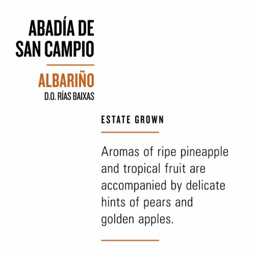 Terras Gauda Albarino Spanish White Wine Perspective: back