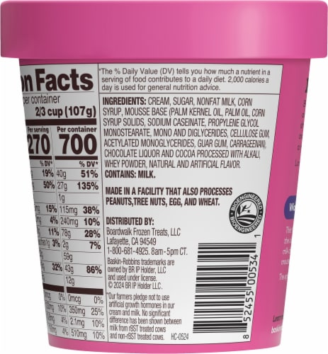 Baskin Robbins® World Class Chocolate Ice Cream Pint Perspective: back