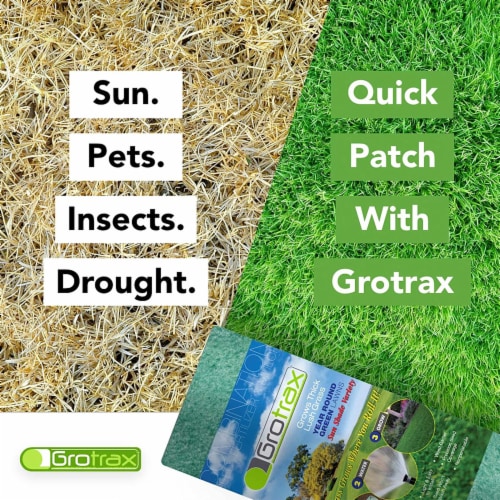 Grotrax Biodegradable 110 Sq Ft Big Roll Year Round Green Grass