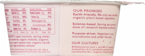 Cocojune Strawberry Rhubard Dairy Free Organic Cultured Coconut Yogurt Perspective: back