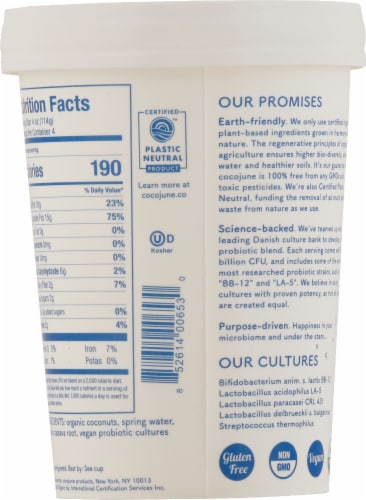 Cocojune Pure Coconut Organic Yogurt Tub Perspective: back