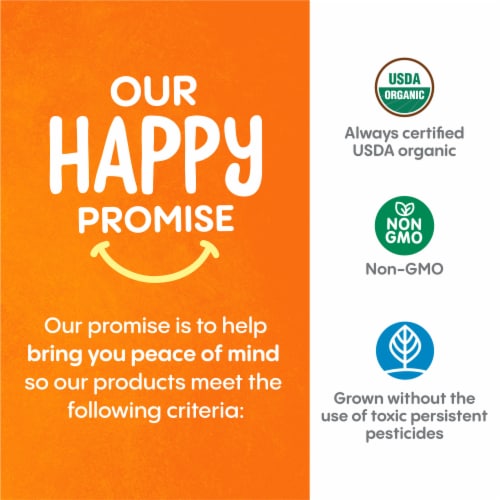 Happy Baby Organic Yogis Freeze-Dried Yogurt & Fruit Snacks Banana Mango Bag Perspective: back