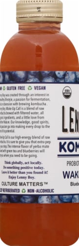 Lenny Boy Wake Up Call Kombucha Perspective: back