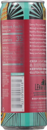Lenny Boy Good Ol' Ginger Kombucha Perspective: back