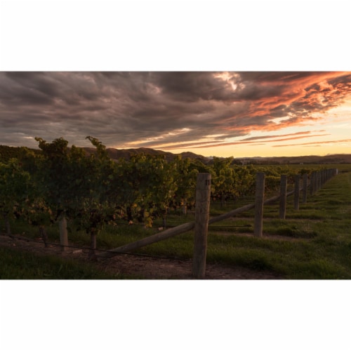 Brancott Estate Pinot Grigio New Zealand White Wine Perspective: back