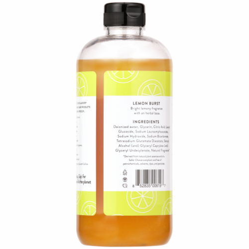 Molly's Suds Lemon Burst Dish Soap Perspective: back
