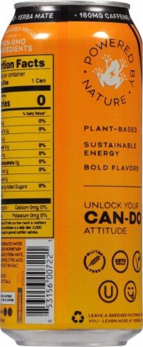 Yerbae® Mango Passionfruit Plant-Based Energy Drink Perspective: back