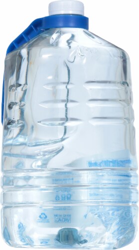 Alkaline88® Purified Gallon Water Perspective: back