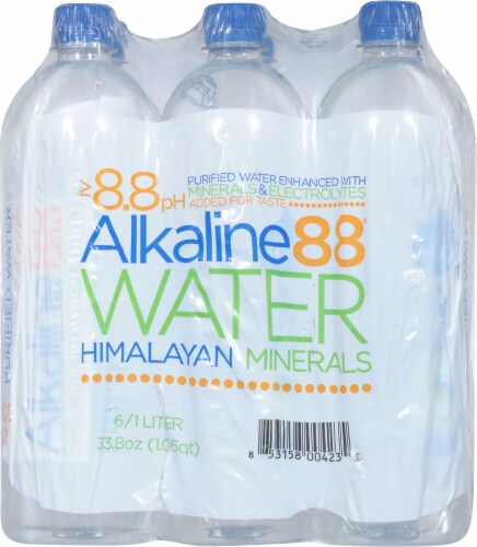 Alkaline88® Himalayan Minerals Purified Water Perspective: back