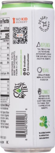 Cali Water® Organic Ginger Lime Cactus Water Can Perspective: back