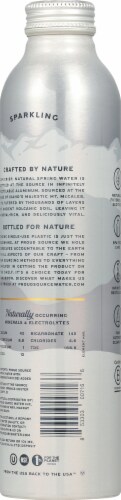 Proud Source™ Sparkling Spring Water Perspective: back