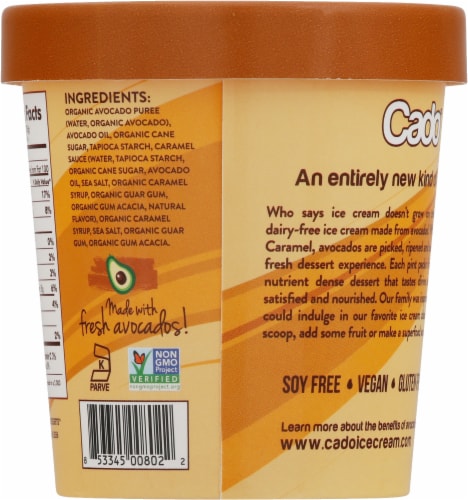 Cado™ Salted Caramel Dairy Free Avocado Frozen Dessert Perspective: back