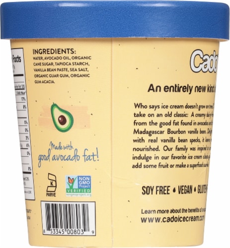 Cado Dairy Free Vanilla Bean Frozen Dessert Pint Perspective: back