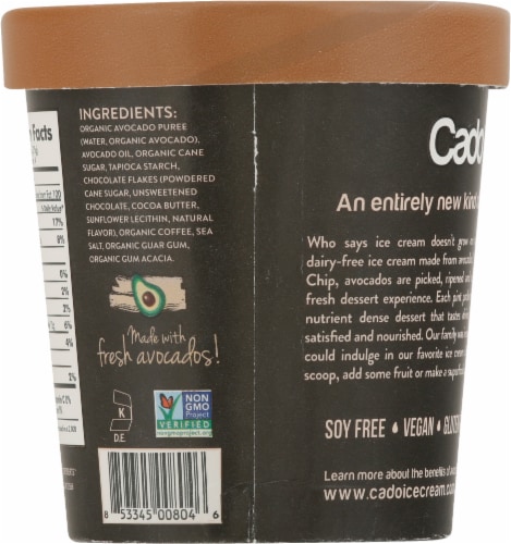 Cado Dairy Free Java Chip Frozen Dessert Pint Perspective: back