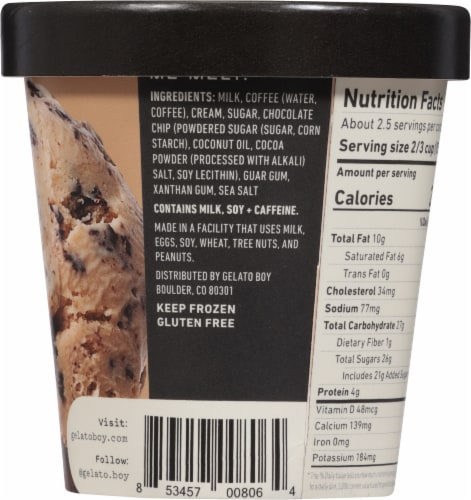 Gelato Boy Coffee Chip Gelato Pint Perspective: back