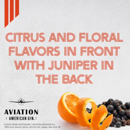 Aviation American Gin Perspective: back