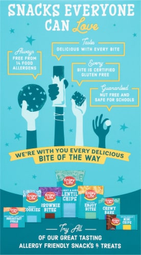 Enjoy Life™ Gluten-Free Snickerdoodle Soft Baked Cookies Perspective: back