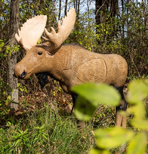 NEW Rinehart Targets 1/3 Scale Woodland Moose Archery Target Perspective: back