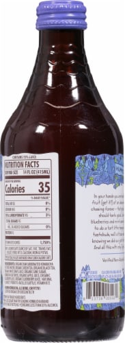 Humm Blueberry Mint Kombucha Perspective: back