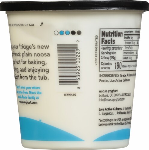 Noosa Plain Yoghurt Perspective: back