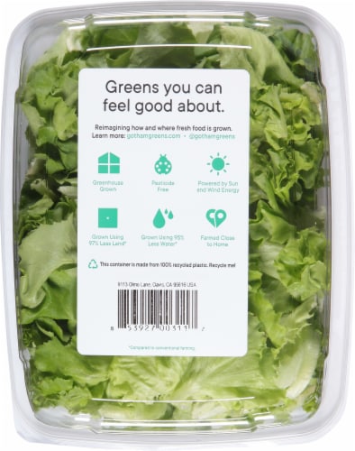 Gotham Greens Greenhouse Crunch Lettuce Perspective: back