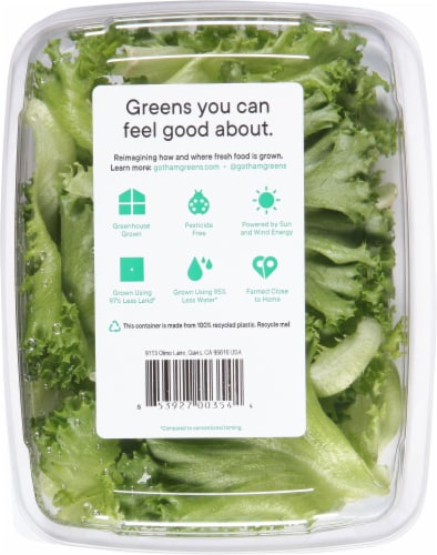 Gotham Greens Crispy Green Leaf Lettuce Perspective: back