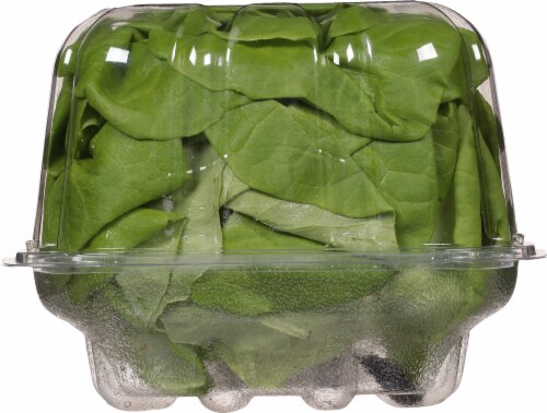 Gotham Greens® Butterhead Living Lettuce Perspective: back