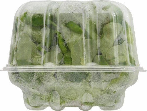 Vertical Roots® Green Oak Living Lettuce Perspective: back