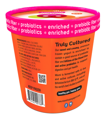 Mixmi Orange Dream Frozen Yogurt Pint Perspective: back
