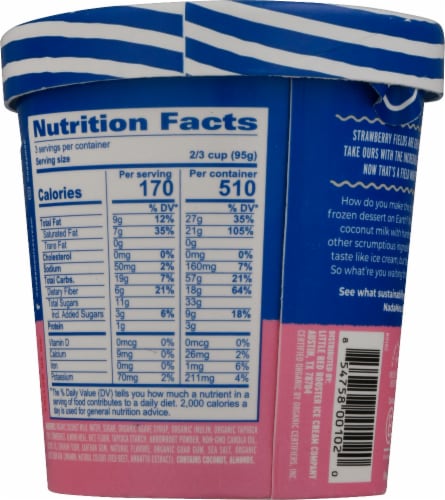Nadamoo® Dairy Free Strawberry Cheesecake Frozen Dessert Pint Perspective: back