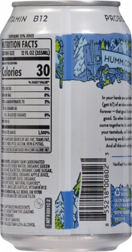 Humm® Blueberry Mint Probiotic Kombucha Single Can Perspective: back