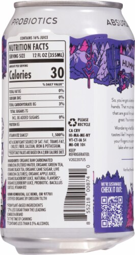 Humm® Blackberry Probiotic Kombucha Single Can Perspective: back