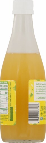 Big Easy Mango Tepache Sparkling Probiotic Drink Perspective: back