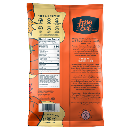 LesserEvil® Organic Pumpkin Spice Popcorn Perspective: back