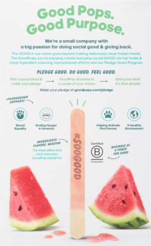 GoodPop® Watermelon Agave Frozen Pops Perspective: back