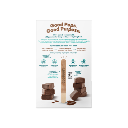 Goodpop Organic Dairy Free Chocolate Fudge Frozen Dessert Pops Perspective: back