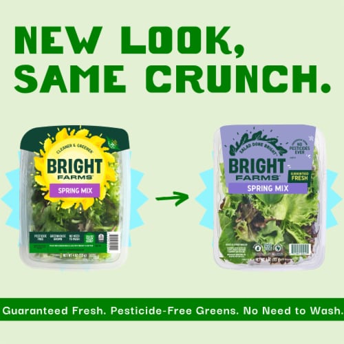 BrightFarms® Spring Mix Lettuce Perspective: back