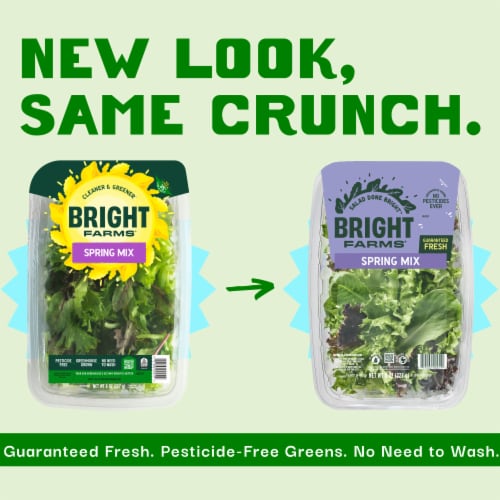 BrightFarms® Spring Mix Lettuce Family Pack Perspective: back