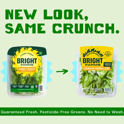 BrightFarms Crunchy Green Lettuce aka Sunny Crunch, 4 oz Salad Perspective: back