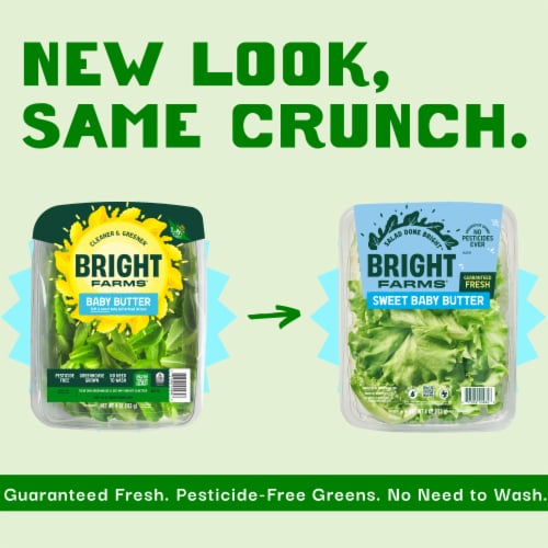 BrightFarms® Baby Butter Lettuce Perspective: back