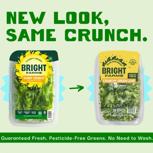 BrightFarms® Sunny Crunch® Green Leaf Lettuce Family Pack Perspective: back