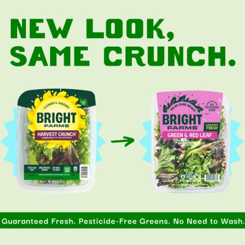 BrightFarms® Harvest Crunch Lettuce Perspective: back