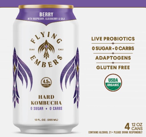 Flying Embers Ancient Berry Organic Hard Kombucha Perspective: back