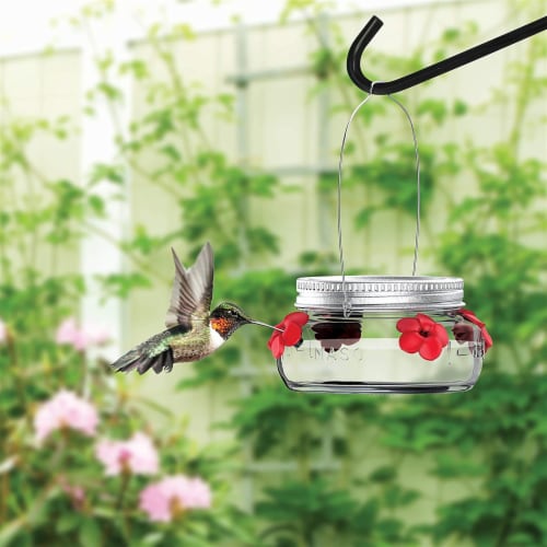 Nature's Way® Mason Jar Hummingbird Feeder Perspective: back